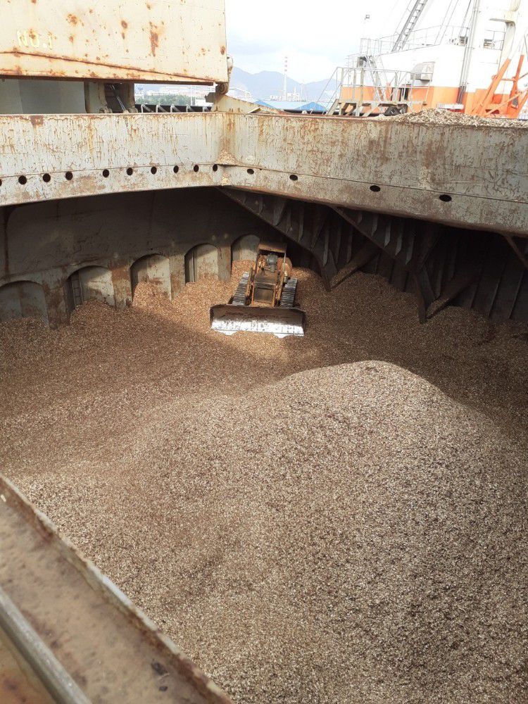 Wood Chips